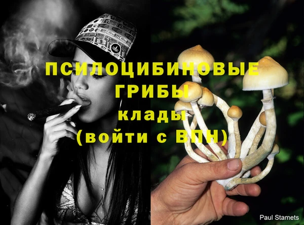 а пвп мука Корсаков