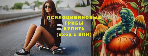 2c-b Костерёво