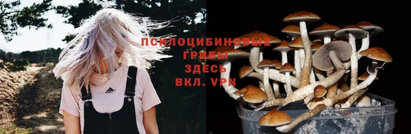 а пвп мука Корсаков