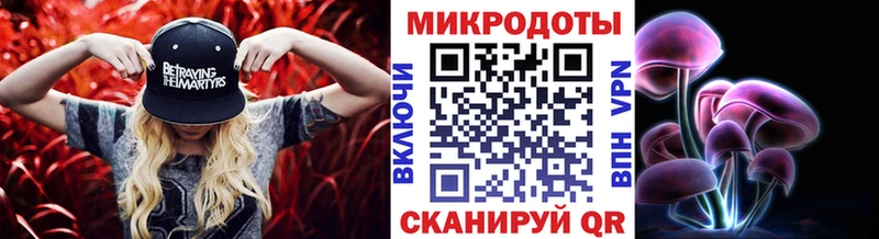 где купить   Зуевка  Псилоцибиновые грибы Cubensis 